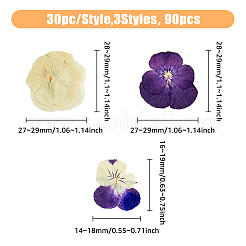 120 Stück getrocknete Stiefmütterchenblüten in 3 Stilen&nbsp;DIY-HY0001-62