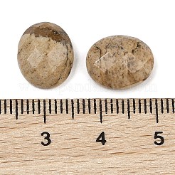 Cabochon di diaspro dell'immagine naturale&nbsp;G-Q186-01A