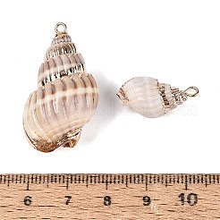 Pendentifs en spirale naturelle galvanoplastie&nbsp;SSHEL-Q100-29KCG