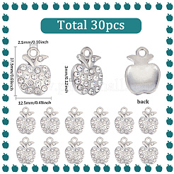 30 stücke legierung strass anhänger&nbsp;FIND-SC0012-92