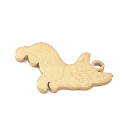 Colgantes de acero inoxidable 304&nbsp;SA-CBAE115-09G
