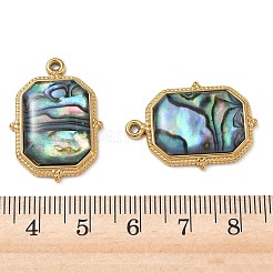 Natur Paua Muschel Anhänger&nbsp;STAS-G397-10G-02