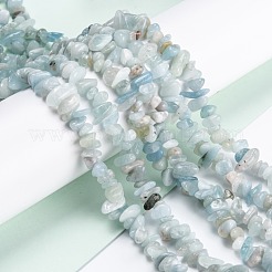 Natürliche Aquamarin Perlen Stränge&nbsp;G-G011-10