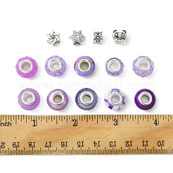 Kit de fabrication de perles européennes en alliage et résine de style tibétain&nbsp;DIY-FS0006-78D