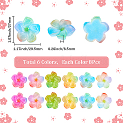 48 Stück 6 Farben transparente Harz Cabochons&nbsp;RESI-SC0006-62