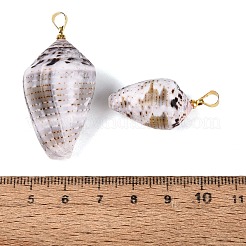 Pendentifs en laiton et coquillage conique naturel&nbsp;SHEL-Q029-21KCG