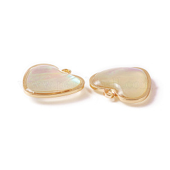 Breloques shell&nbsp;SHEL-CJC0001-01