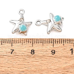 Pendentifs d'émail en alliage&nbsp;RB-CBAC8D9-05P-04