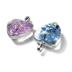 Pendentifs en verre transparent&nbsp;GLAA-M048-01A