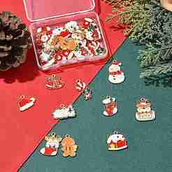 30pcs 15 styles de pendentifs en émail en alliage&nbsp;ENAM-FS0003-52A