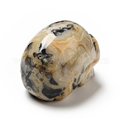 Decorazioni per display in agata pazza naturale di halloween&nbsp;DJEW-K015-21
