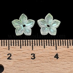 Embouts de perles de verre teints et chauffés&nbsp;GLAA-Z019-02E