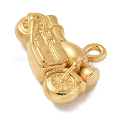Pendentifs en acier inoxydable 304 avec placage ionique (IP)&nbsp;STAS-Q334-45G
