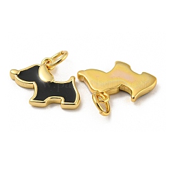 Charms smalto ottone&nbsp;KK-E093-01G-02
