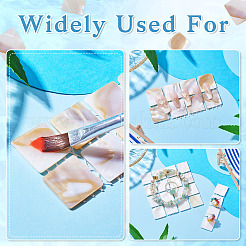 3 Stück 3 Stile natürliche Muschel Nail Art Display Board&nbsp;ODIS-TA0001-04
