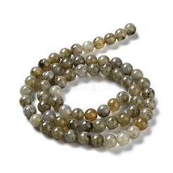 Natur Labradorit Perlen Stränge&nbsp;G-G065-A01-01