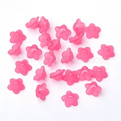 Perles en acrylique transparente&nbsp;PL560-2