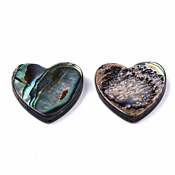 Perle di conchiglia abalone naturale / conchiglia paua&nbsp;X-SSHEL-T014-16D