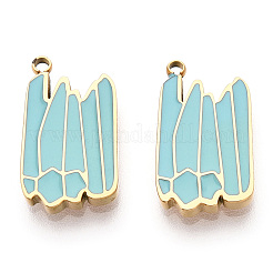 Pendentifs en acier inoxydable 304 émaillés&nbsp;STAS-T064-22G