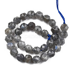 Natur Labradorit Perlen Stränge&nbsp;G-N327-03A-06