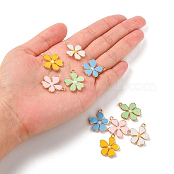 10pcs 5 pendentifs en alliage de couleurs&nbsp;ENAM-YW0002-11