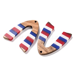 Pendentifs en résine rayée opaque et bois de noyer du jour de l'indépendance&nbsp;RESI-U010-02W