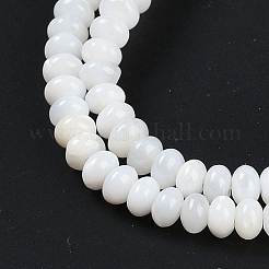 Naturali di acqua dolce perline shell fili&nbsp;BSHE-H109-15A