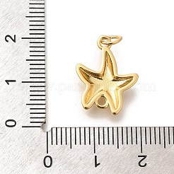 Gestellplattierung Messing Stern Fisch Verbindungsstück Charms&nbsp;KK-L225-046G