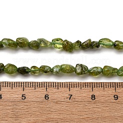 Natürlichen Peridot Perlen Stränge&nbsp;G-I389-A27
