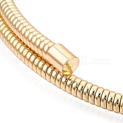 Colliers ras du cou avec chaînes serpent rondes en fer&nbsp;NJEW-T016-02G