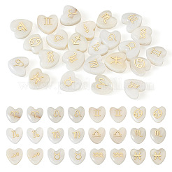 24 Stück 12 Stile natürliche weiße Muschelperlen&nbsp;BSHE-TA0001-10