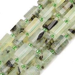 Natur Prehnit Perlen Stränge&nbsp;G-G453-E03-10x14mm