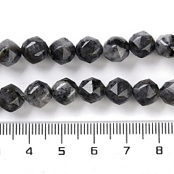 Natürliche Larvikit-Perlenstränge&nbsp;G-NH0021-A04-01