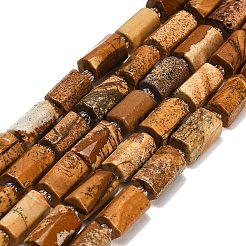 Natürliches Bild Jaspis Perlen Stränge&nbsp;G-F836-B04-01