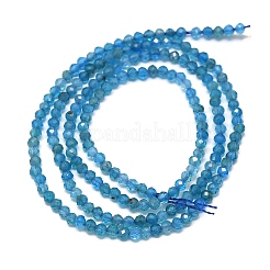 Chapelets de perles en apatite naturelle&nbsp;G-G106-C06-01