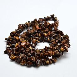 Chip natürlichen Tigerauge Perlen Stränge&nbsp;G-N0134-09