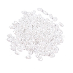 Undurchsichtige Farben Glanz Glas Saatperlen&nbsp;SEED-T006-02L