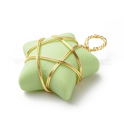 Pendentifs en résine opaque&nbsp;PALLOY-JF01849-01