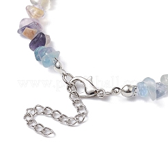 Collier de perles de fluorite naturelle&nbsp;NJEW-JN04615-11