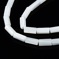 Natürliche Trochidschale / Trochusschalenperlenstränge&nbsp;SSHEL-S266-020A-01