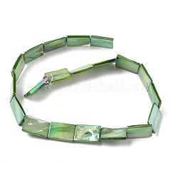 Naturali di acqua dolce perline shell fili&nbsp;SH-CBACA76-15