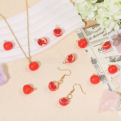 12pcs 2 styles de pendentifs en résine opaque&nbsp;RESI-CA0001-76