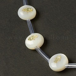 Naturali di acqua dolce perline shell fili&nbsp;BSHE-B005-13G