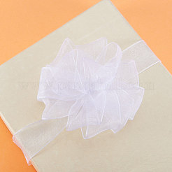 Ruban d'organza&nbsp;ORIB-T001-12mm-1001