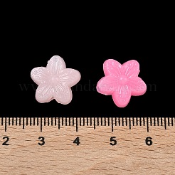 Kunststoff-Perlen&nbsp;KY-F023-06B