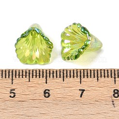 Transparentes bouchons acrylique de perles&nbsp;OACR-G054-03J