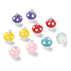 10 pz 5 colori ciondoli in resina opaca&nbsp;RESI-YW0001-50