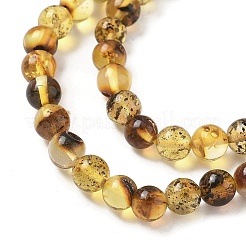 Perles d'ambre naturel brins&nbsp;G-L095-B01-5mm-03