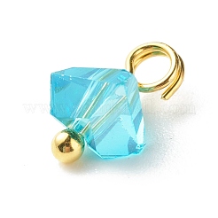 Glas Charms galvanisieren&nbsp;PALLOY-JF00821-03