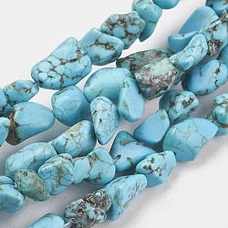 Brins de perles de magnésite naturelle, teints et chauffée, puce, 6~12x6~18x4~8mm, Trou: 1mm, Environ 45 pcs/chapelet, 15.75 pouce